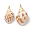 Natural Spiral Shell Pendants PALLOY-JF03316-02-1