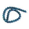 Round Natural Apatite Beads Strands G-K068-04-10mm-4