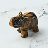 Natural Tiger Eye Home Decorations DJEW-YW0001-04A-1