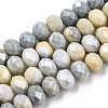 Faceted Electroplated Glass Beads Strands X-GLAA-C023-02-B04-1