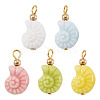 5Pcs Glazed Nautilus Seashell Shape Porcelain Pendants PALLOY-TAC0222-3