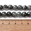 Natural Hawk's Eye Beads Strands G-L478-03-8mm-01-3
