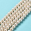 Shell Pearl Bead Strands BSHE-L025-08-6mm-01-2