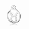 Non-Tarnish 201 Stainless Steel Charms STAS-T014-T505-2-1