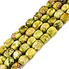 Natural Imperial Jasper Beads Strands G-N342-62J-1