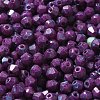 Baking Paint Glass Seed Beads SEED-A032-02A-19-3