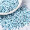 MIYUKI Round Rocailles Beads SEED-G008-RR0430-1