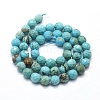 Natural Howlite Beads Strands X-G-D0012-01C-2