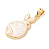 Brass Enamel Pendants KK-H534-06G-01-2