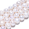 Natural Cultured Freshwater Pearl Beads Strands PEAR-N013-10D-3