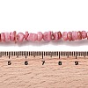 Natural Freshwater Shell Beads SHEL-B003-01K-4