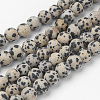 Natural Dalmatian Jasper Bead Strands G-G735-68F-8mm-1