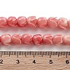 Synthetic Shell Beads Strands CORA-B001-05A-04-4