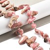 Natural Rhodonite Beads Strands G-C179-E01-01-2