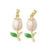 Brass Enamel Pendants KK-I371-33G-01-1