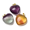 Natural Fluorite Pendants G-C155-02B-G-1