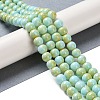 Baking Paint Glass Bead Strands GLAA-H031-01B-08-2