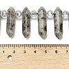 Natural Sesame Jasper Double Terminated Point Beads Strands G-H069-A05-01-4