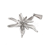 304 Stainless Steel Pendants STAS-Q349-01D-P-2