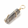 Natural Larvikite Pendants PALLOY-JF01453-05-4