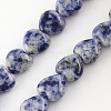 Natural Blue Spot Jasper Bead Strands G-R190-20mm-04-1