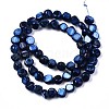 Natural Freshwater Shell Beads Strands SHEL-S276-110A-02-2