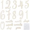 Wood Baby Milestone Numbers Signs Sets AJEW-WH0042-30-1