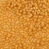 Baking Paint Glass Seed Beads SEED-L011-09A-22-3