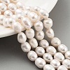 Natural Cultured Freshwater Pearl Beads Strands PEAR-P062-13C-2