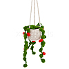 Woolen Yarn Crochet Plant Basket Hanging Decorations FIND-WH0152-161B-1