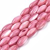 Natural Freshwater Shell Beads X-SHEL-R047-02D-1