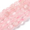 Natural Rose Quartz Beads Strands G-G146-A08-01-1