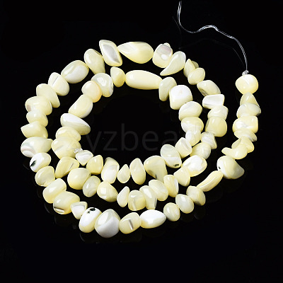 Natural Trochid Shell/Trochus Shell Bead Strands SSHEL-N034-78-C01-1
