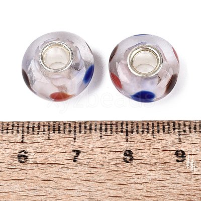 Handmade Lampwork & Brass Core European Beads LAMP-N044-04S-01-1