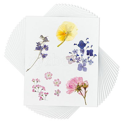 Dried Embossed Paper DIY-WH0622-646B-1