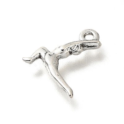 Tibetan Style Alloy Pendants FIND-G078-03AS-1