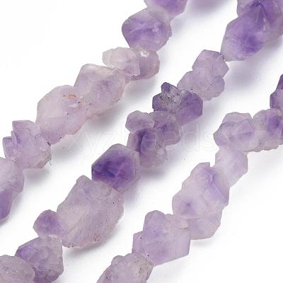 Raw Rough Natural Amethyst Beads Strands G-N0326-028-1