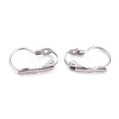 Tarnish Resistant 304 Stainless Steel Leverback Earring Findings STAS-B003-05P-1