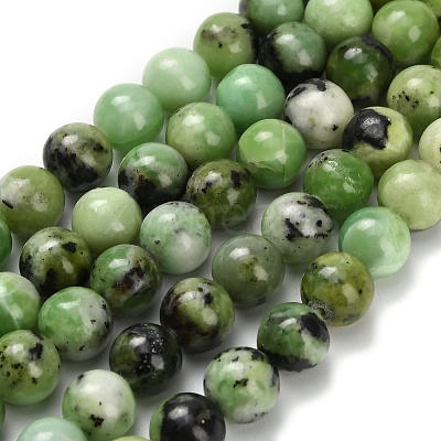 Natural Serpentine Beads Strands G-Z110-C04-8mm-1