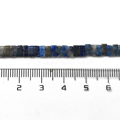 Natural Lapis Lazuli Beads Strands G-Z045-A11-01-1