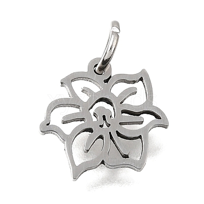 304 Stainless Steel Charms SA-CBA4CE0-01P-C-1