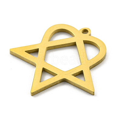 304 Stainless Steel Pendants STAS-R228-03G-1