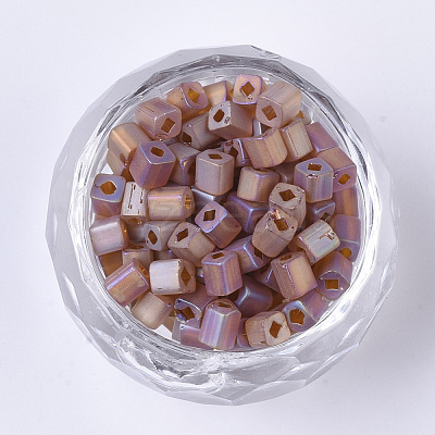 6/0 Transparent Glass Seed Beads SEED-S027-03B-02-1