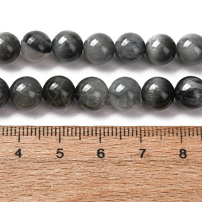 Natural Hawk's Eye Beads Strands G-L478-03-8mm-01-1