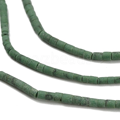 Dyed Synthetic Turquoise Beads Strands G-P594-01A-02-1