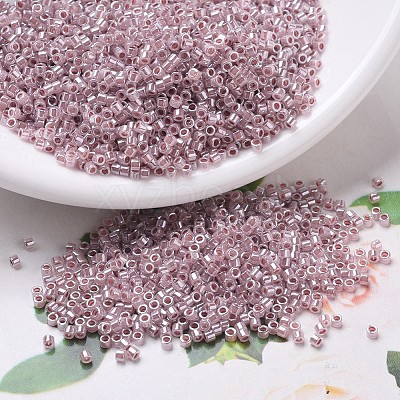 MIYUKI Delica Beads X-SEED-J020-DB0256-1