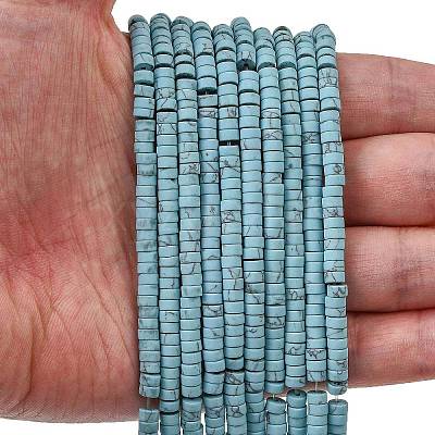 Dyed Synthetic Turquoise Beads Strands G-Z089-A04-F-1