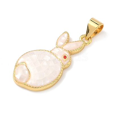 Brass Enamel Pendants KK-H534-06G-01-1