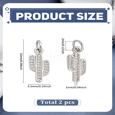 2Pcs Brass Micro Pave Cubic Zirconia Charms ZIRC-LP0001-64P-1
