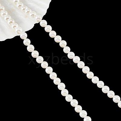 Shell Pearl Beads Strands SHEL-WH0001-009A-1